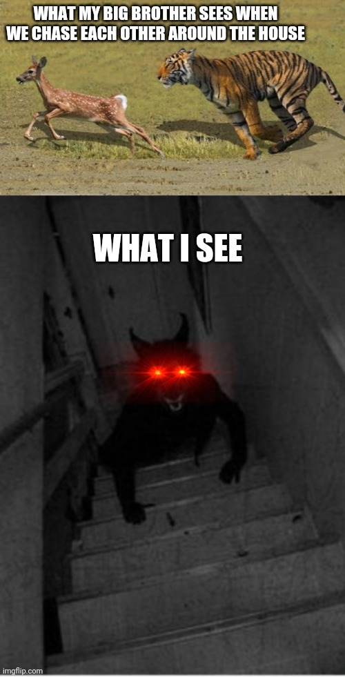 WHAT MY BIG BROTHER SEES WHEN WE CHASE EACH OTHER AROUND THE HOUSE; WHAT I SEE | image tagged in noooo you can't just | made w/ Imgflip meme maker