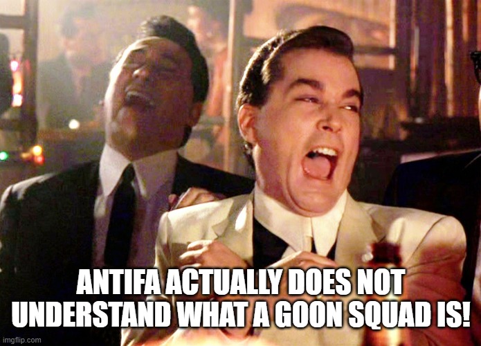 Good Fellas Hilarious Meme | ANTIFA ACTUALLY DOES NOT UNDERSTAND WHAT A GOON SQUAD IS! | image tagged in memes,good fellas hilarious | made w/ Imgflip meme maker