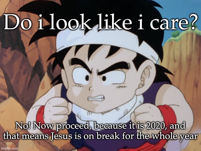 Gohan "Do I look like.." (DBZ) | Do i look like i care? No! Now proceed, because it is 2020, and that means Jesus is on break for the whole year | image tagged in gohan do i look like dbz | made w/ Imgflip meme maker