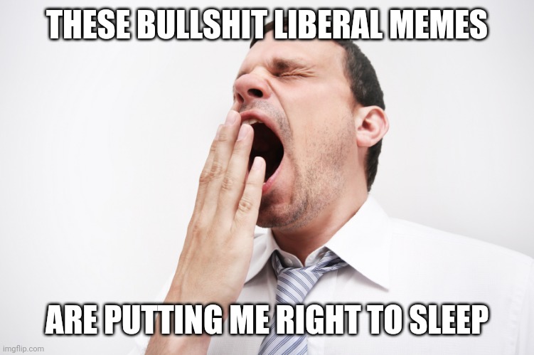 yawn | THESE BULLSHIT LIBERAL MEMES ARE PUTTING ME RIGHT TO SLEEP | image tagged in yawn | made w/ Imgflip meme maker