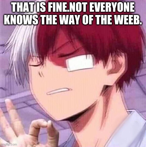 Todoroki | THAT IS FINE.NOT EVERYONE KNOWS THE WAY OF THE WEEB. | image tagged in todoroki | made w/ Imgflip meme maker