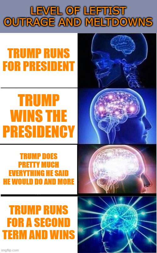 Expanding Brain | LEVEL OF LEFTIST OUTRAGE AND MELTDOWNS; TRUMP RUNS FOR PRESIDENT; TRUMP WINS THE PRESIDENCY; TRUMP DOES PRETTY MUCH EVERYTHING HE SAID HE WOULD DO AND MORE; TRUMP RUNS FOR A SECOND TERM AND WINS | image tagged in memes,expanding brain | made w/ Imgflip meme maker