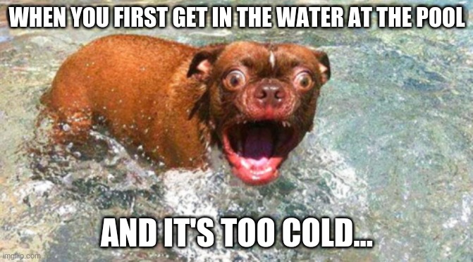 why is pool water so cold? | WHEN YOU FIRST GET IN THE WATER AT THE POOL; AND IT'S TOO COLD... | image tagged in freezing cold,soaking wet | made w/ Imgflip meme maker