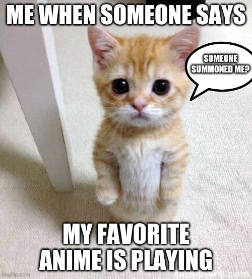Cats | ME WHEN SOMEONE SAYS; SOMEONE SUMMONED ME? MY FAVORITE ANIME IS PLAYING | image tagged in funny memes,funny cat memes | made w/ Imgflip meme maker