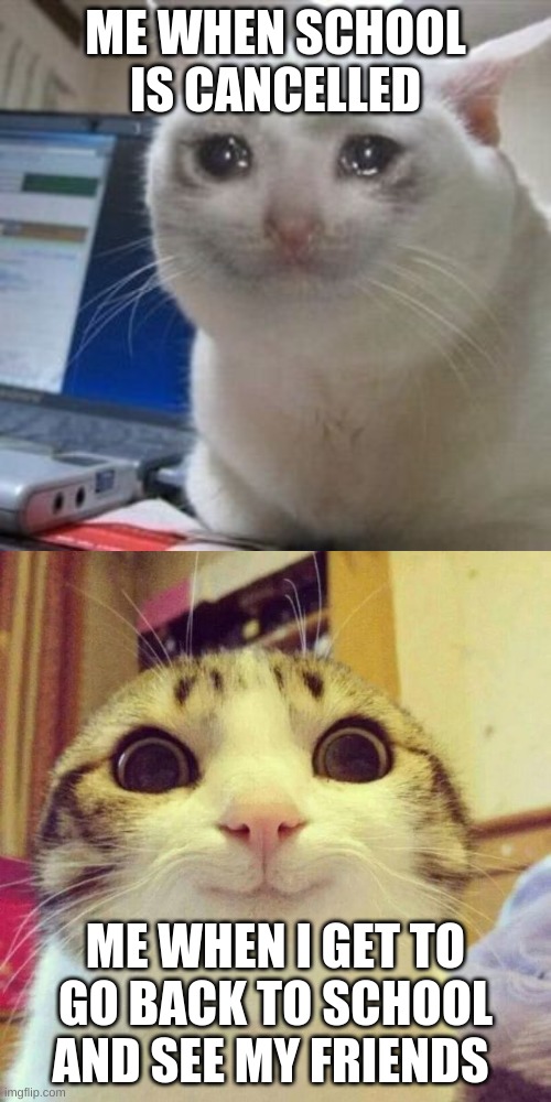Tell me if this is relatable lol | ME WHEN SCHOOL IS CANCELLED; ME WHEN I GET TO GO BACK TO SCHOOL AND SEE MY FRIENDS | image tagged in funny cat memes,memes | made w/ Imgflip meme maker