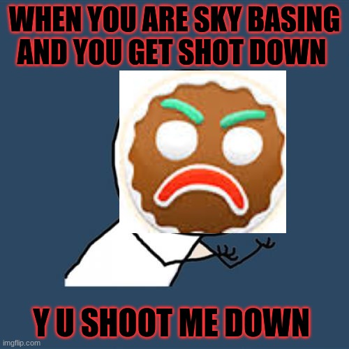 Y U No Meme | WHEN YOU ARE SKY BASING AND YOU GET SHOT DOWN; Y U SHOOT ME DOWN | image tagged in memes,y u no | made w/ Imgflip meme maker