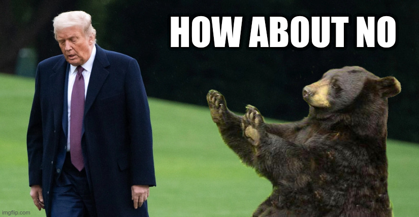 Trump: How About No | HOW ABOUT NO | image tagged in trump,how about no bear,coronavirus,infectious trump | made w/ Imgflip meme maker