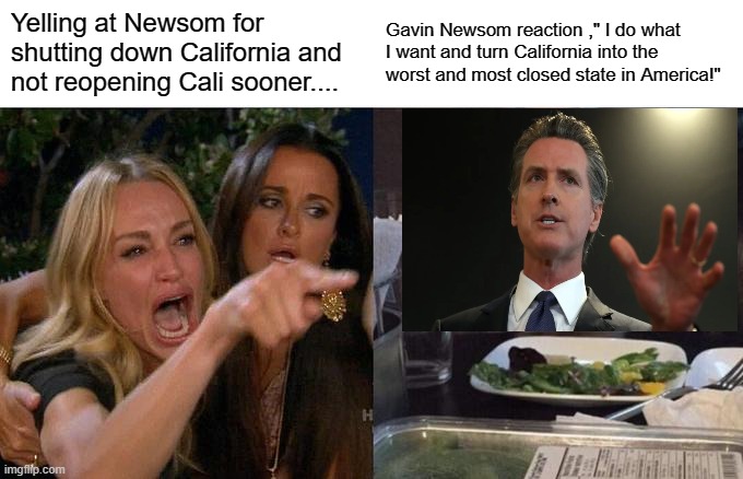 Gavin Newsom meme... | Yelling at Newsom for shutting down California and not reopening Cali sooner.... Gavin Newsom reaction ," I do what I want and turn California into the worst and most closed state in America!" | image tagged in memes,woman yelling at cat,california,governor,government shutdown,covid-19 | made w/ Imgflip meme maker