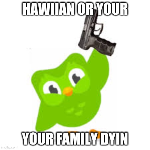 HAWIIAN OR YOUR; YOUR FAMILY DYIN | made w/ Imgflip meme maker
