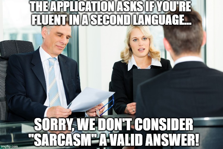job interview | THE APPLICATION ASKS IF YOU'RE 
FLUENT IN A SECOND LANGUAGE... SORRY, WE DON'T CONSIDER "SARCASM" A VALID ANSWER! | image tagged in job interview | made w/ Imgflip meme maker