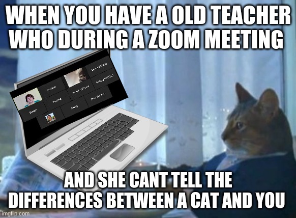 WHEN YOU HAVE A OLD TEACHER WHO DURING A ZOOM MEETING; AND SHE CANT TELL THE DIFFERENCES BETWEEN A CAT AND YOU | image tagged in i should buy a boat cat | made w/ Imgflip meme maker