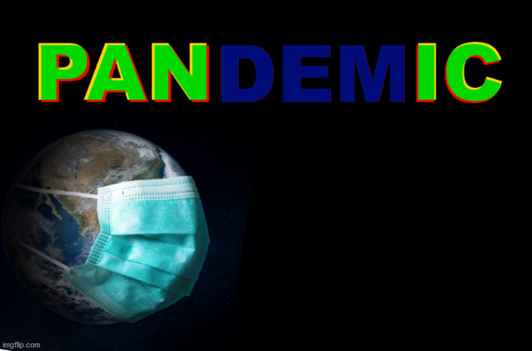 Pandemic | image tagged in pandemic,panic,dem,covid,face diaper,face mask | made w/ Imgflip meme maker
