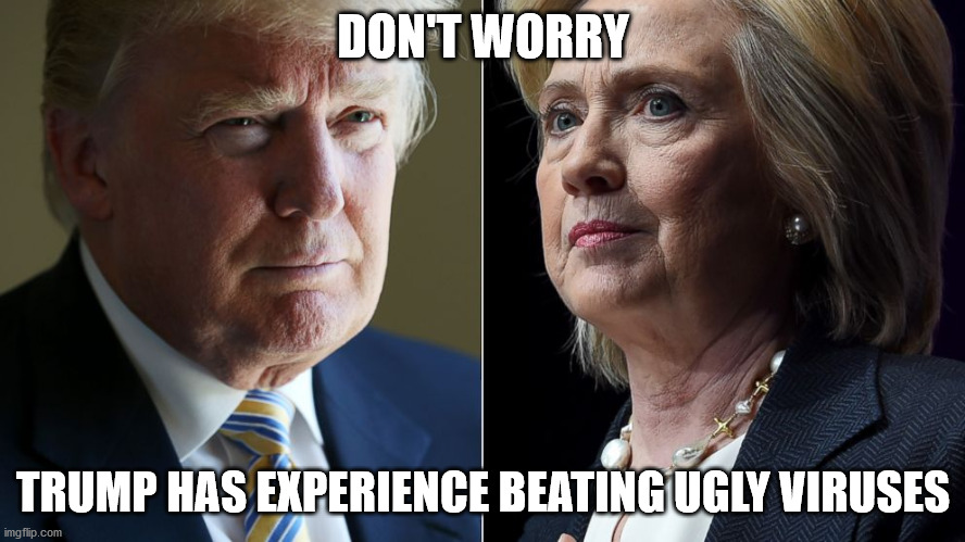 Trump Hillary | DON'T WORRY; TRUMP HAS EXPERIENCE BEATING UGLY VIRUSES | image tagged in trump hillary | made w/ Imgflip meme maker