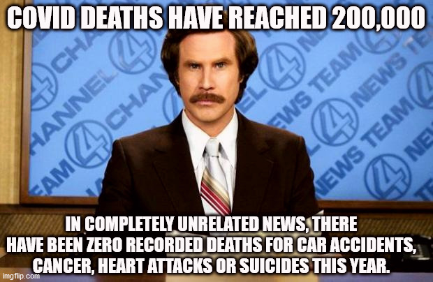 They really think you are stupid | COVID DEATHS HAVE REACHED 200,000; IN COMPLETELY UNRELATED NEWS, THERE HAVE BEEN ZERO RECORDED DEATHS FOR CAR ACCIDENTS, CANCER, HEART ATTACKS OR SUICIDES THIS YEAR. | image tagged in breaking news,trump,covid,biden,2020 elections | made w/ Imgflip meme maker
