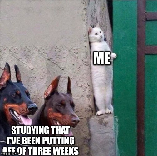 ME; STUDYING THAT I'VE BEEN PUTTING OFF OF THREE WEEKS | image tagged in school,study,studying,procrastination,procrastinate,stop reading the tags | made w/ Imgflip meme maker