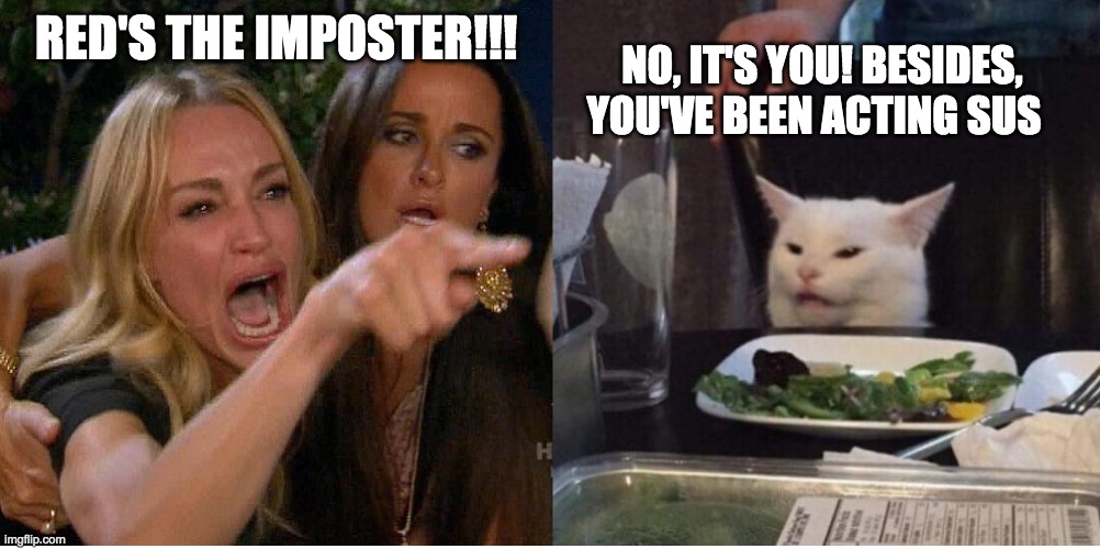 salad cat | RED'S THE IMPOSTER!!! NO, IT'S YOU! BESIDES, YOU'VE BEEN ACTING SUS | image tagged in salad cat | made w/ Imgflip meme maker