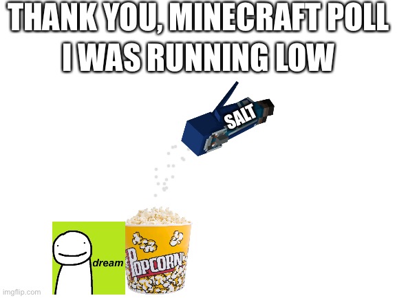 Yikers | THANK YOU, MINECRAFT POLL; I WAS RUNNING LOW; SALT | image tagged in blank white template,minecraft,twitter,memes,funny,polls | made w/ Imgflip meme maker