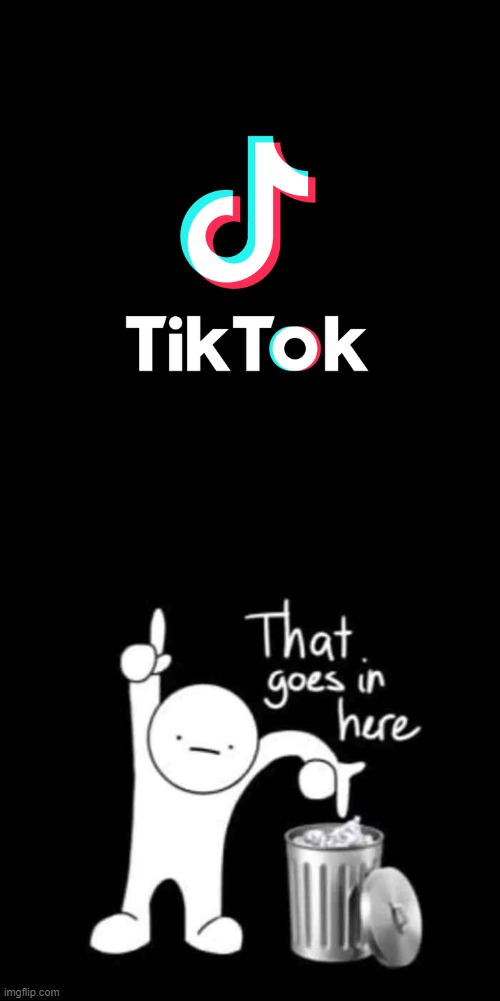 That goes in here | image tagged in that goes in here,memes,tiktok | made w/ Imgflip meme maker