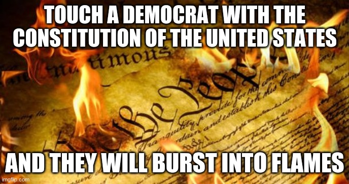 Just like sunlight and vampires | TOUCH A DEMOCRAT WITH THE CONSTITUTION OF THE UNITED STATES; AND THEY WILL BURST INTO FLAMES | image tagged in constitution in flames,burst into flames,constitution of the united states,sunlight and vampires,this really works,democrat hate | made w/ Imgflip meme maker
