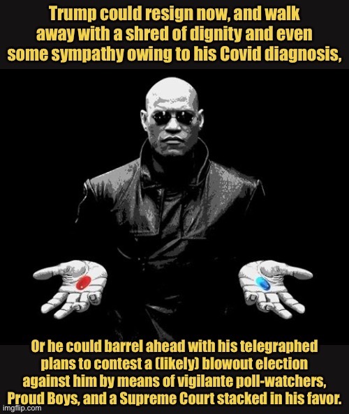 In Trump’s case, the blue pill is continued rage and denial of reality; the red pill is resigning and walking away. | image tagged in president trump,trump,matrix morpheus,matrix,matrix pills,matrix morpheus offer | made w/ Imgflip meme maker