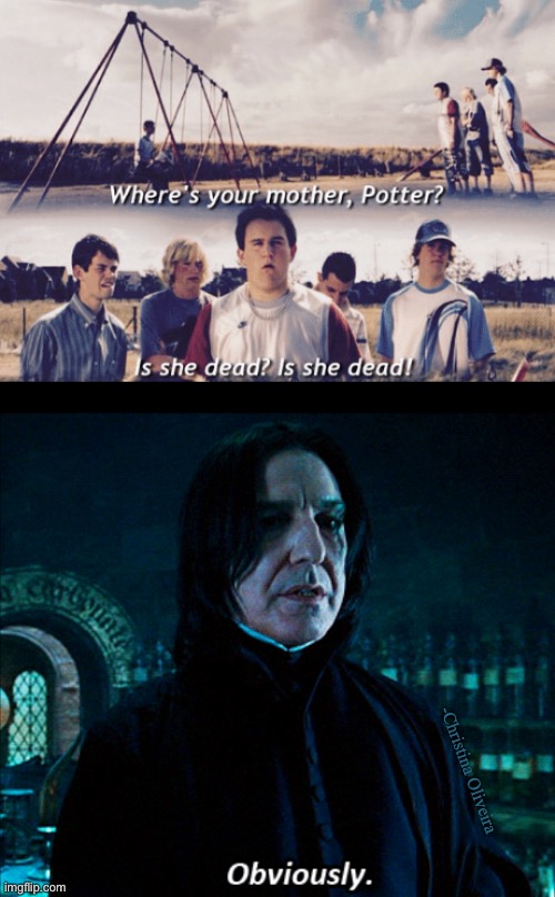 Obviously |  -Christina Oliveira | image tagged in harry potter,harrypotter,severus snape,obvious,hogwarts,harry potter meme | made w/ Imgflip meme maker