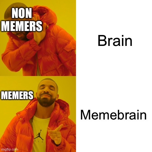 I thought of this when I was working on science homework, i misspelled membrane | Brain; NON MEMERS; Memebrain; MEMERS | image tagged in memes,drake hotline bling | made w/ Imgflip meme maker