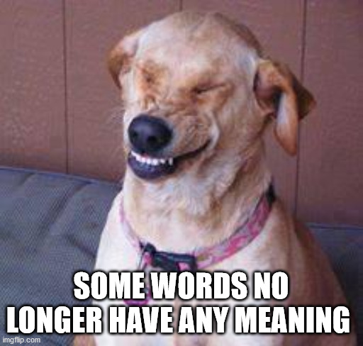 funny dog | SOME WORDS NO LONGER HAVE ANY MEANING | image tagged in funny dog | made w/ Imgflip meme maker