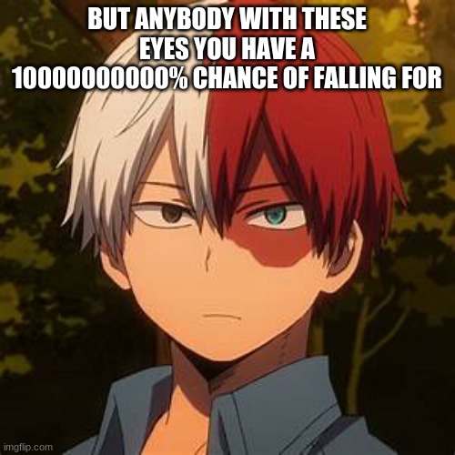 TODOROKI | BUT ANYBODY WITH THESE EYES YOU HAVE A 10000000000% CHANCE OF FALLING FOR | image tagged in todoroki | made w/ Imgflip meme maker