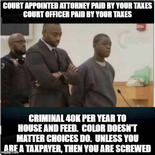 tax payers screwed again | CRIMINAL 40K PER YEAR TO HOUSE AND FEED.  COLOR DOESN'T MATTER CHOICES DO.  UNLESS YOU ARE A TAXPAYER, THEN YOU ARE SCREWED | image tagged in choices smh | made w/ Imgflip meme maker