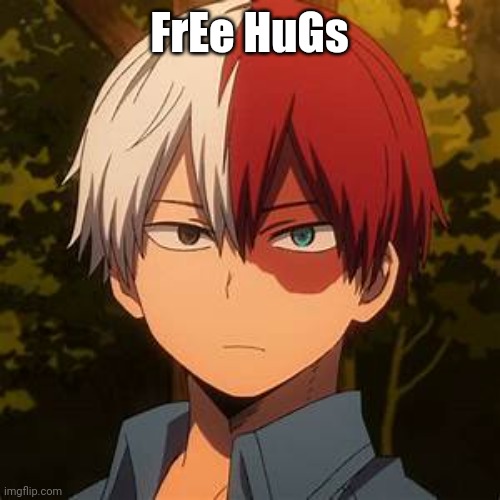 tHiS wAs A dArE | FrEe HuGs | image tagged in todoroki | made w/ Imgflip meme maker