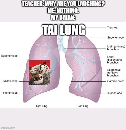 TEACHER: WHY ARE YOU LAUGHING?
ME: NOTHING.
MY BRIAN:; TAI LUNG | image tagged in funny | made w/ Imgflip meme maker