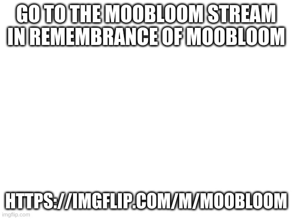 https://imgflip.com/m/moobloom | GO TO THE MOOBLOOM STREAM IN REMEMBRANCE OF MOOBLOOM; HTTPS://IMGFLIP.COM/M/MOOBLOOM | image tagged in blank white template,rip | made w/ Imgflip meme maker
