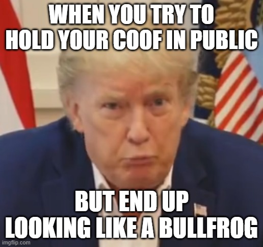 Commander of Coof | WHEN YOU TRY TO HOLD YOUR COOF IN PUBLIC; BUT END UP LOOKING LIKE A BULLFROG | image tagged in bunker boy coof | made w/ Imgflip meme maker