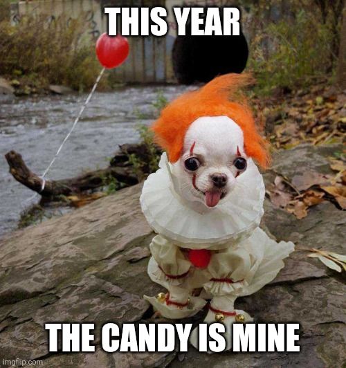PENNYWISE HAS A PUPPY? | THIS YEAR; THE CANDY IS MINE | image tagged in pennywise,it,dogs,cosplay,halloween | made w/ Imgflip meme maker