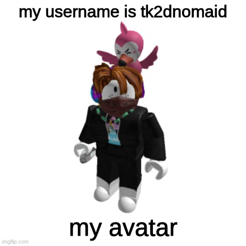 https://www.roblox.com/users/1670097915/profile | my username is tk2dnomaid; my avatar | image tagged in roblox,profile | made w/ Imgflip meme maker