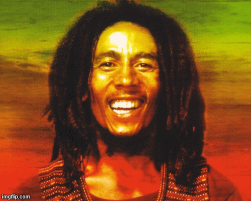 Bob Marley color | image tagged in gifs | made w/ Imgflip images-to-gif maker