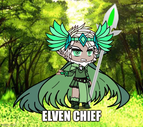 From: Elf tribe | Found at: Elf tribes | ELVEN CHIEF | made w/ Imgflip meme maker