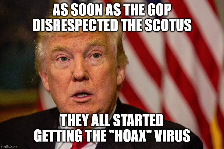 Karma for hypocrites.  RBG is getting her revenge. | AS SOON AS THE GOP DISRESPECTED THE SCOTUS; THEY ALL STARTED GETTING THE "HOAX" VIRUS | image tagged in covid-19,coronavirus,president pence | made w/ Imgflip meme maker