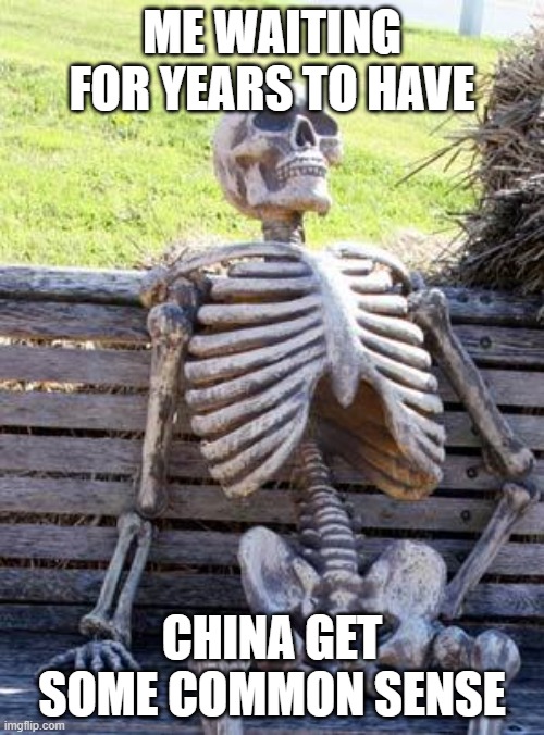 Waiting Skeleton | ME WAITING FOR YEARS TO HAVE; CHINA GET SOME COMMON SENSE | image tagged in memes,waiting skeleton | made w/ Imgflip meme maker