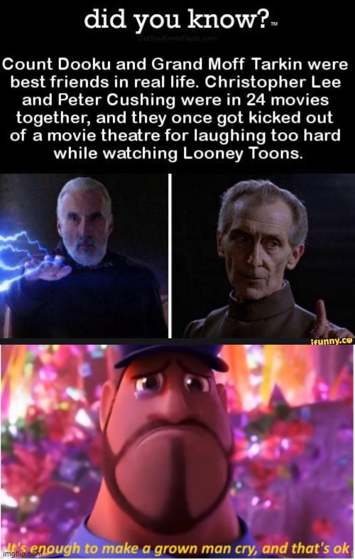 Fun Fact | image tagged in it's enough to make a grown man cry and that's ok,star wars | made w/ Imgflip meme maker