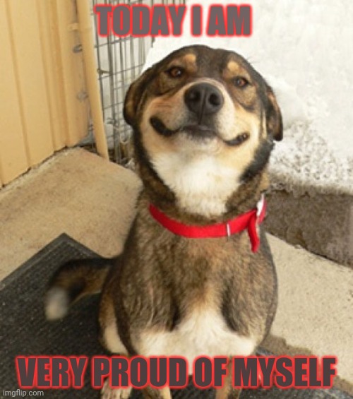 Smily dog | TODAY I AM VERY PROUD OF MYSELF | image tagged in smily dog | made w/ Imgflip meme maker