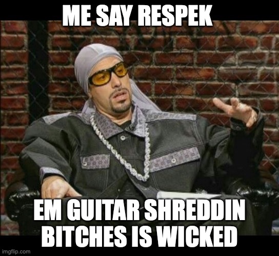 Guitar Shreddin Bitches | ME SAY RESPEK; EM GUITAR SHREDDIN BITCHES IS WICKED | image tagged in ali g,female guitarists | made w/ Imgflip meme maker