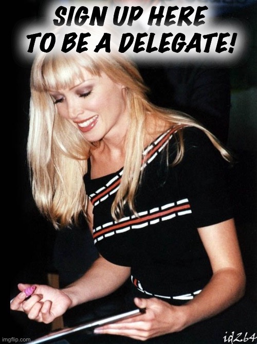 Comment to become a delegate with powers to vote in the Constitutional Convention. Only requirement: Abide by stream terms. | SIGN UP HERE TO BE A DELEGATE! | image tagged in dannii autograph,constitutional convention,vote,voting,government,constitution | made w/ Imgflip meme maker
