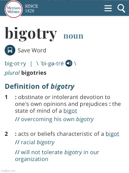 Bigotry: It’s a real thing! | image tagged in bigotry definition,bigotry,bigot,bigots,dictionary,definition | made w/ Imgflip meme maker