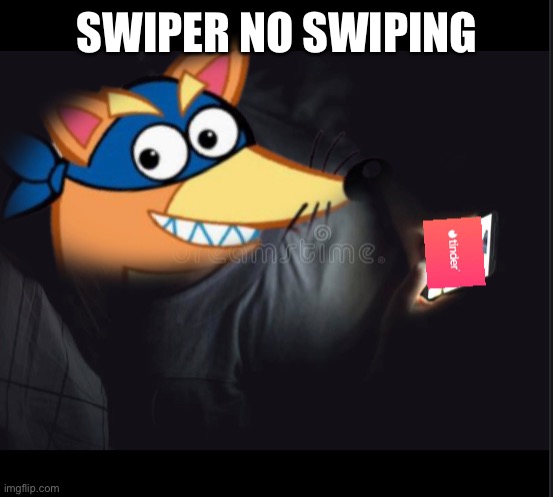 Swiper no swiping | SWIPER NO SWIPING | image tagged in swiper,meme,funny,funny meme,dora the explorer,tinder | made w/ Imgflip meme maker