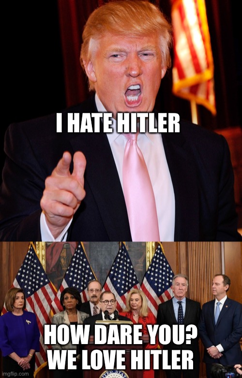 Democrats just have to oppose Trump | I HATE HITLER; HOW DARE YOU? WE LOVE HITLER | image tagged in don trump insane yell,house democrats | made w/ Imgflip meme maker