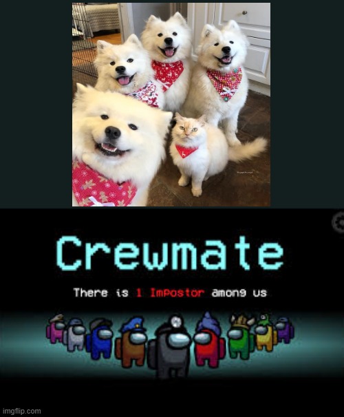 impurrstur | image tagged in there is 1 imposter among us,cute,animals | made w/ Imgflip meme maker