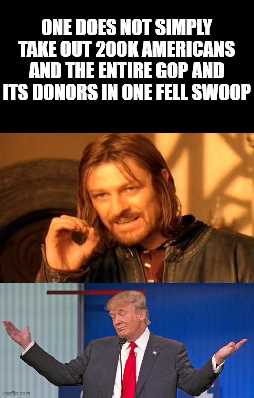 "Winning" | ONE DOES NOT SIMPLY TAKE OUT 200K AMERICANS AND THE ENTIRE GOP AND ITS DONORS IN ONE FELL SWOOP | image tagged in memes,one does not simply,politics,coronavirus,trump is a goner,maga | made w/ Imgflip meme maker