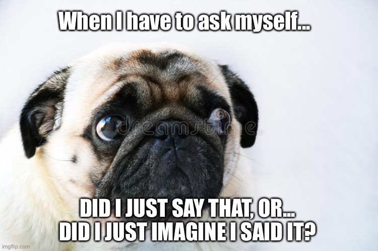 Did I Say That? | When I have to ask myself... DID I JUST SAY THAT, OR... DID I JUST IMAGINE I SAID IT? | image tagged in dogs,animals,thinking,confused,pugs | made w/ Imgflip meme maker