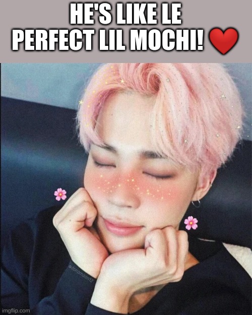 HE'S LIKE LE PERFECT LIL MOCHI! ❤ | made w/ Imgflip meme maker